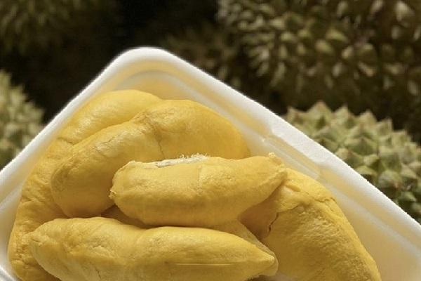 中国海关总署关于进口柬埔寨榴莲植物检疫要求的公告