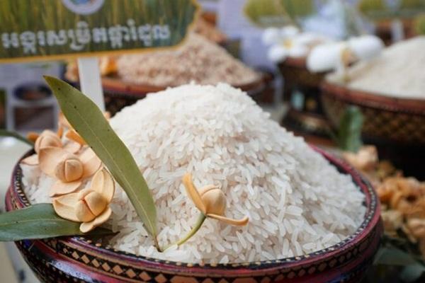 柬埔寨1至6月出口大米创收2.83亿美元