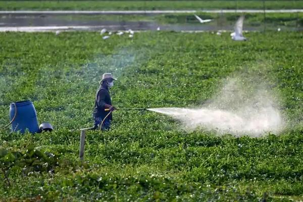 2025年上半年柬埔寨农产品出口创汇逾28.7亿美元