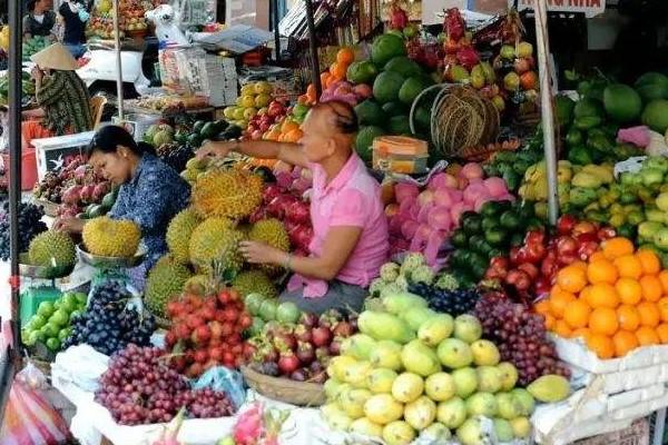 柬埔寨干拉省产品市场：为本地农业发展注入新动能