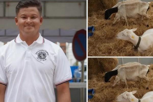 柬埔寨羊肉紧缺：市场需求大供给难满足