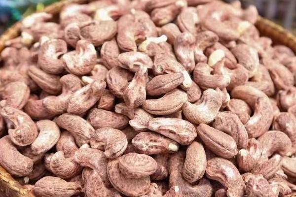 柬前9月农产出口超28亿，腰果增六成