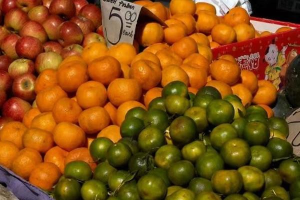 柬埔寨橙子价格稳定且畅销