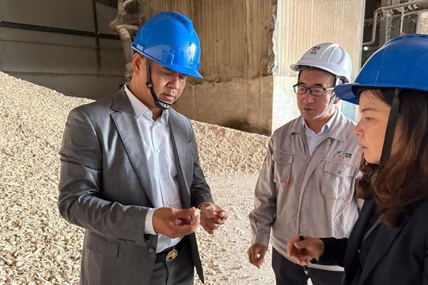 柬农业发展银行推动柬埔寨干木薯扩大对华出口