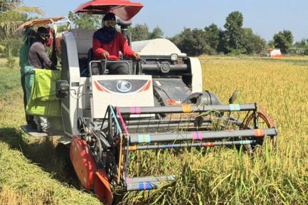 柬埔寨农业部多措并举确保农业用油稳定