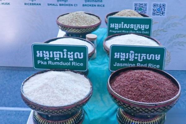 柬埔寨一季度米稻出口量额双增