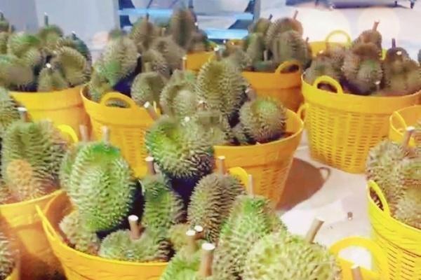 柬埔寨榴莲对华出口量价齐升