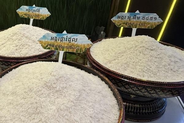 柬埔寨大米对华出口势头强劲