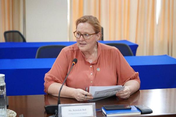 巴西计划年底在柬埔寨开设大使馆