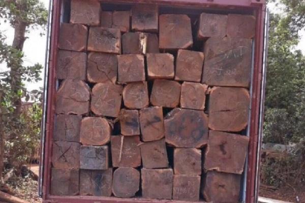 柬埔寨1至4月木材和木制品出口超1亿美元