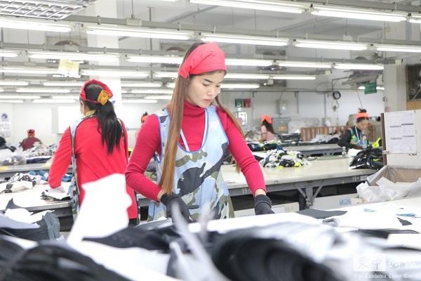 违反会计与审计法规 七成企业或面临处罚