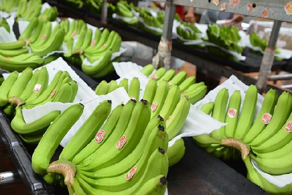 截止2024年10月柬中贸易额增长23%