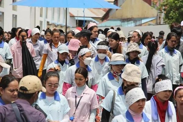 柬埔寨人力资源告急：三大领域用工缺口超6.6万