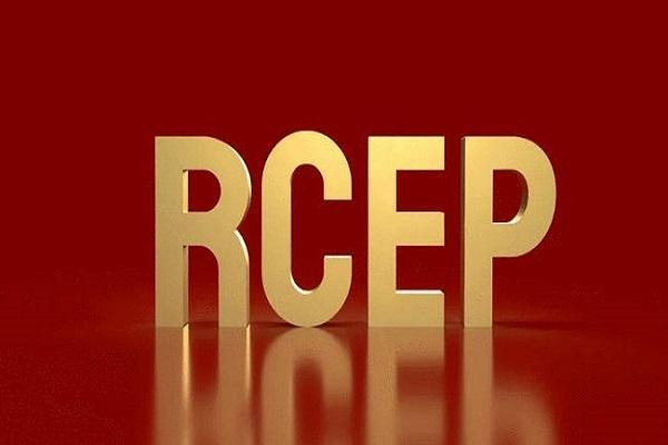 2025年1至4月与RCEP成员国贸易额超同比增长15.4%