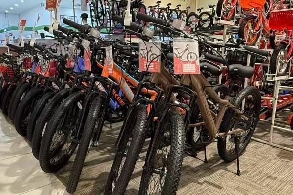 柬埔寨自行车制造业复苏强劲，前8月出口增超五成