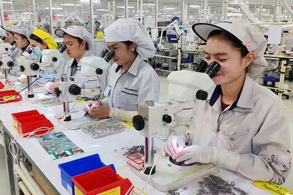 柬发展理事会聚焦电子与农业引资