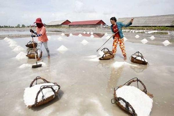 柬埔寨今年食盐产量预计大幅增长