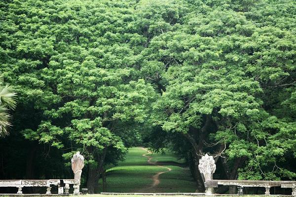 柬埔寨携手经合组织推进产业转型升级