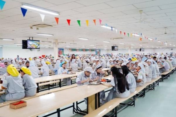 日本助柬推广营养米惠及80万工人
